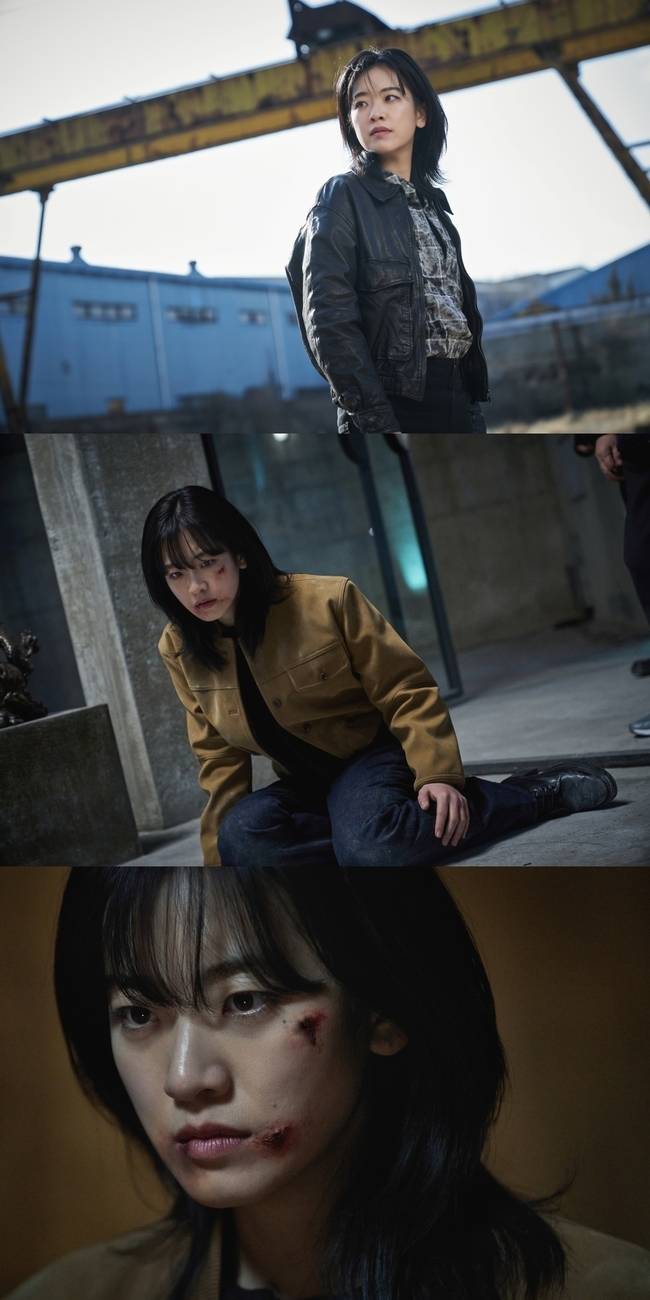 사진=타이거 스튜디오