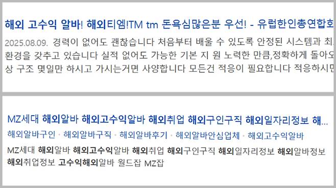 포털 사이트 검색 결과 캡처