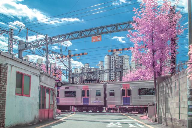 적외선카메라로 촬영한 철길 건널목 풍경.