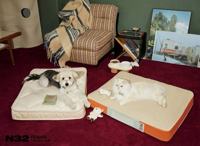 시몬스의 멀티 브랜드인 N32의 비건 펫 매트리스 ‘N32 쪼꼬미’.사진제공=시몬스