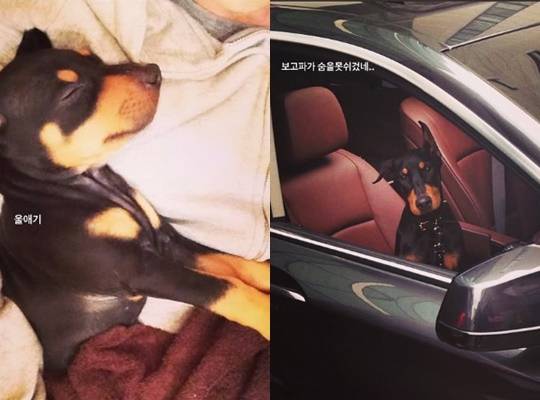 /사진=배정남 개인계정