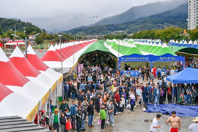 ▲ 풍기인삼축제&농특산물대축제 현장모습