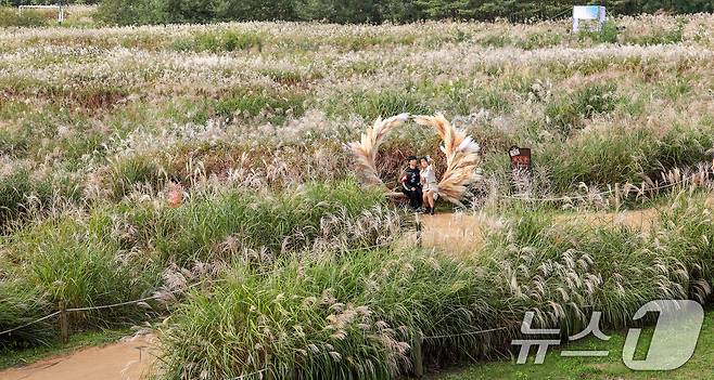 완연한 가날씨를 보인 19일 서울 마포구 하늘공원에서 열린 서울억새축제를 찾은 시민들이 억새밭에서 사진을 찍고있다. 2025.10.19/뉴스1 ⓒ News1 이호윤 기자