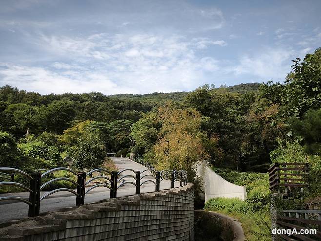 샤오미 15T 프로로 직접 찍은 사진 샘플.