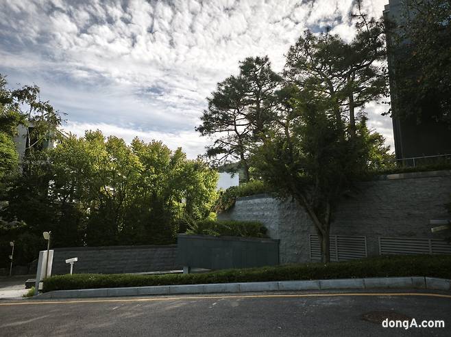 샤오미 15T 프로로 직접 찍은 사진 샘플.