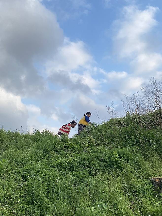 아이들과 밭에 가서 놀다보면 한두 시간이 훌쩍 간다.