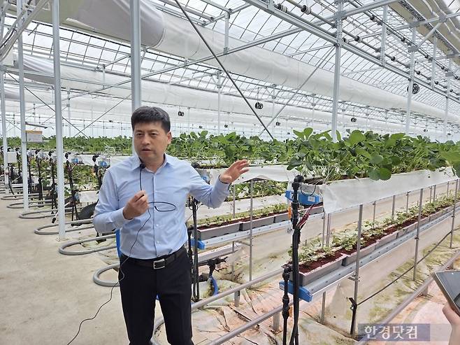 박대성 SP아그리 대표가 딸기 재배시설에 대해 설명하고 있다./사진=박수림 기자