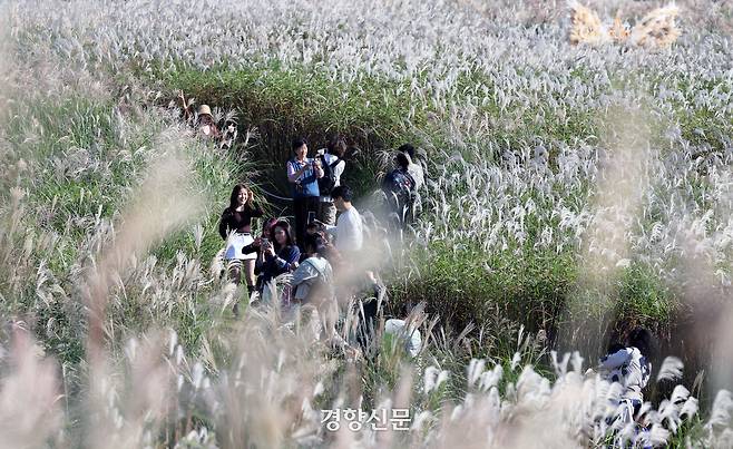 휴일인 19일 서울억새축제가 열리고 있는 서울 상암동 하늘공원을 찾은 시민들이 가을 햇살에 비친 억새숲을 걷고 있다. 2025.10.19 /서성일 선임기자
