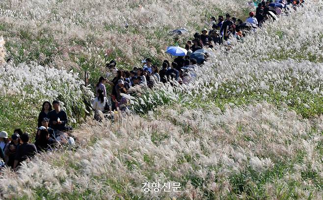휴일인 19일 서울억새축제가 열리고 있는 서울 상암동 하늘공원을 찾은 시민들이 가을 햇살에 비친 억새숲을 걷고 있다. 2025.10.19 /서성일 선임기자