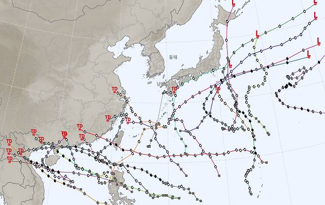올해 발생한 태풍 [기상청 제공]