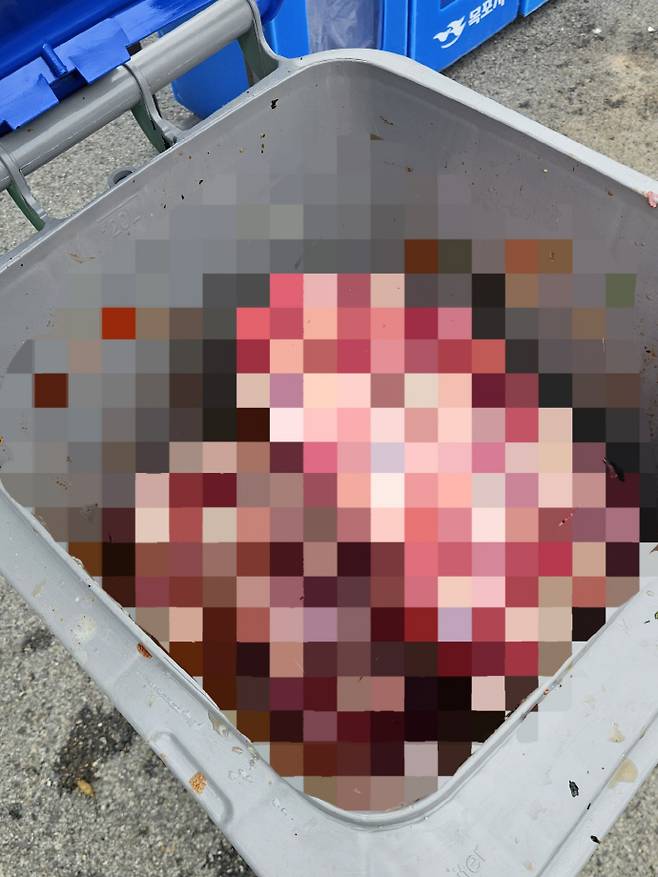 남도미식로드존에서 소진되지 못하고 음식물쓰레기통에 버려진 고기. /독자 제공
