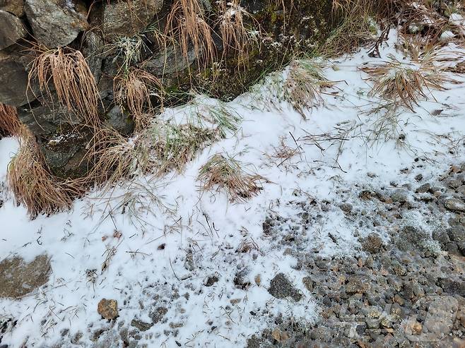 20일 오전 설악산 고지대에 올해 첫눈이 관측됐다. 올해 설악산 첫눈은 지난해(10월 19일)보다 하루 늦고 2023년(10월 21일)보다 1일 빠른 것이다.(설악산국립공원사무소 제공, 재판매 및 DB 금지) 2025.10.20/뉴스1 ⓒ News1 윤왕근 기자