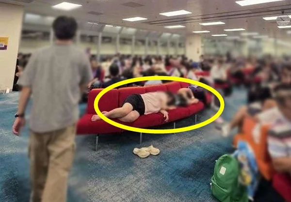 [사진 출처 = SNS 캡처]