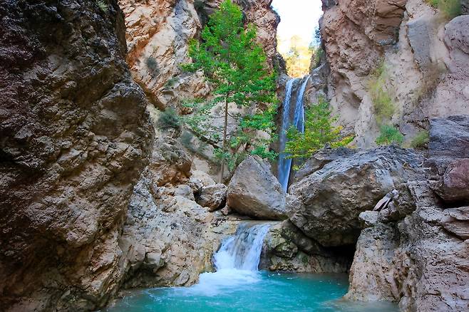 완도에서 열린 세계 총회가 국제 슬로시티로 승인한 튀르키예 차멜리 마을 청정계곡