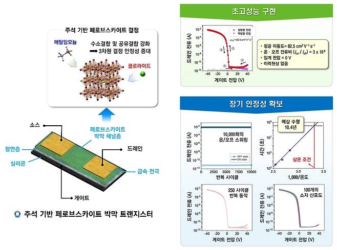 주석 기반 페로브스카이트 박막 트랜지스터 구조, 성능 및 안정성.[한양대학교 제공]