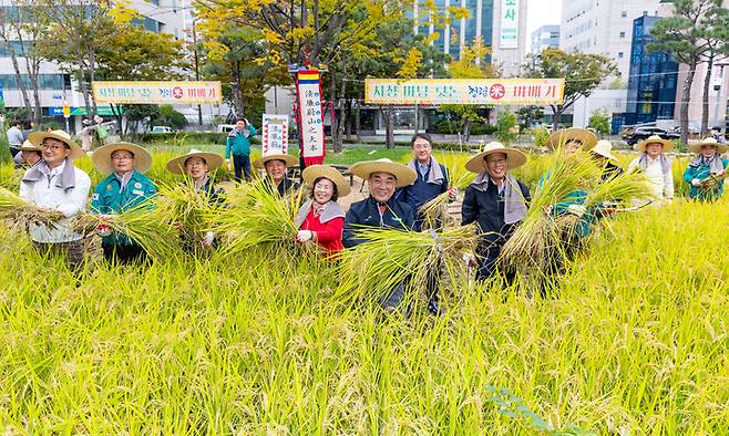 청렴미(米) 벼베기 행사가 열린 21일 울산시청 생활정원 텃논에서 김두겸 울산시장, 이성룡 울산시의장을 비롯한 농업인, 시민 등 참석자가 더 풍성한 울산을 기원하며 벼베기를 하고 있다. 최지원 기자