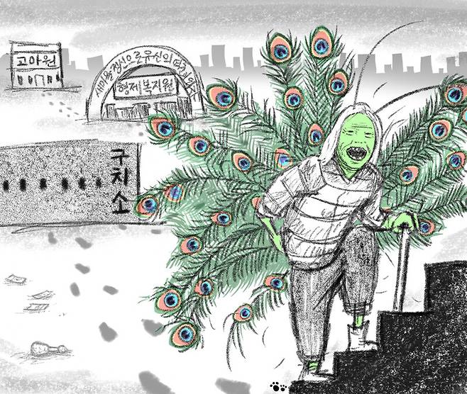 일러스트레이션 유아영