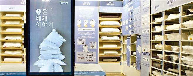 이브자리의 대형 수면용품매장 ‘코디센 삼성점’의 베개 체험존. /이브자리 제공