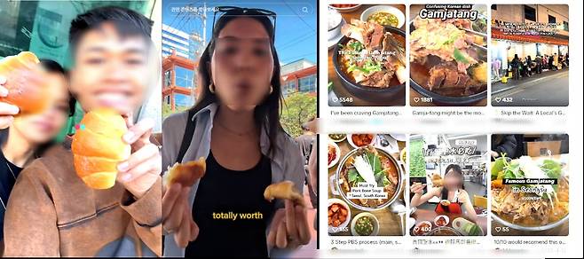 출처=틱톡