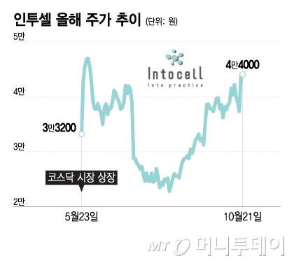 인투셀 올해 주가 추이/그래픽=이지혜