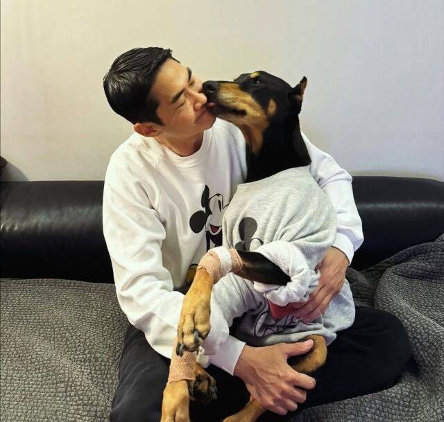 배정남이 세상을 떤나 반려견 벨을 그리워하는 마음을 전했다. / 배정남 인스타그램