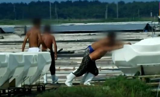 염전 노동자들 이번 사건과는 무관. [JTBC뉴스]