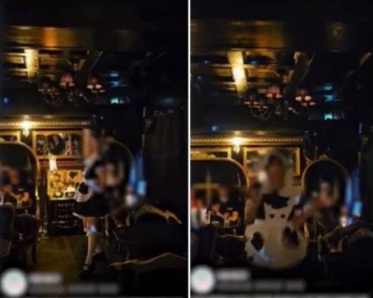 국내 한 메이드 카페에서 메이드(하녀) 복장을 한 직원이 노래에 맞춰 춤을 추고 있다. 자료 : 국회 영상회의록시스템