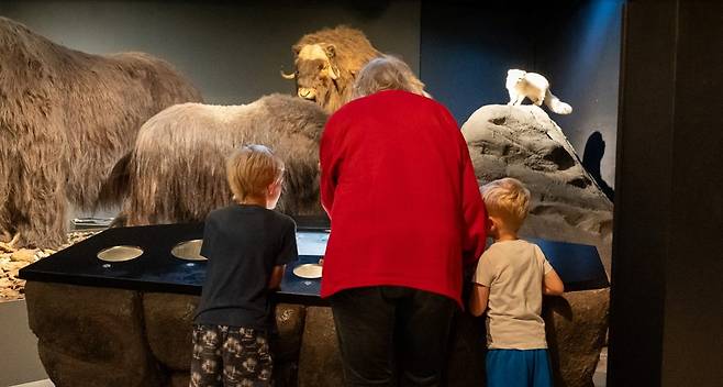 프랑스 파리 국립자연사박물관에서 관람객들이 전시물을 보고 있다 (사진 출처: 뉴시스)