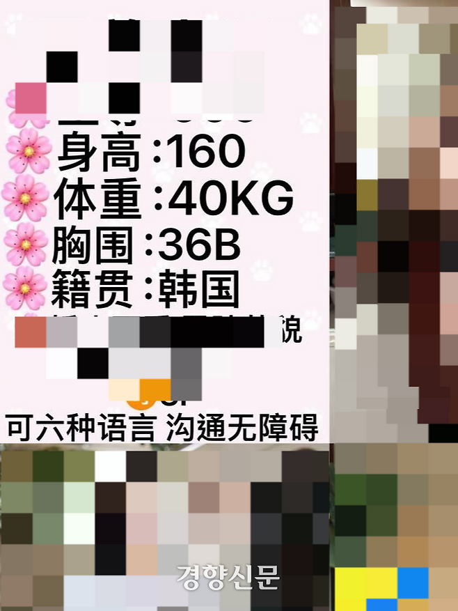 중국 텔레그램 채널에 공유된 성매매 광고 사진. 한국 국적이라고 소개된 여성의 사진에는 체형이나 사용 가능 언어 등을 적어두고 있다. 텔레그램 채널 대화 내용 갈무리