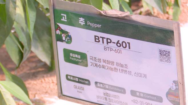 '2025 국제종자박람회' 행사장. 노컷TV 캡처