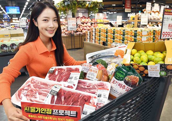 홈플러스, AI 물가안정 프로젝트