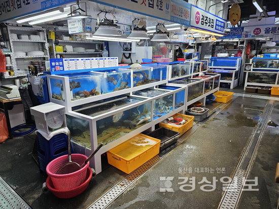 ▲ 올 여름 고수온과 적조로 양식 방어 폐사가 이어진 가운데 소·중형 크기의 방어도 물량이 덜 풀린 울산농수산물도매시장.