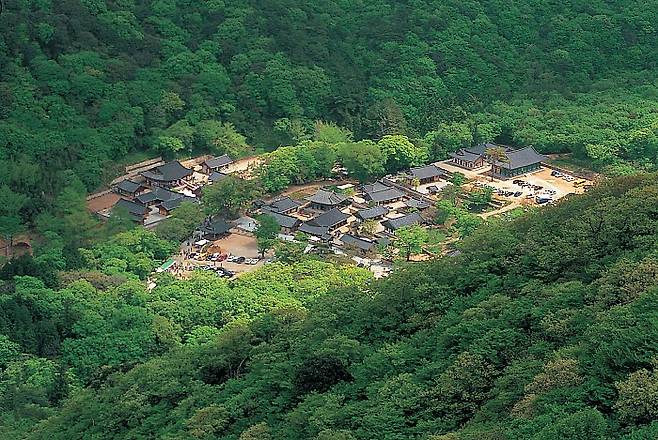 황준성 의병부대가 활동한 두륜산 대흥사 전경.해남군 제공