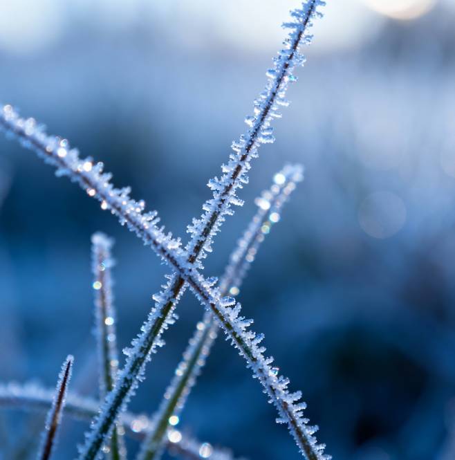 오늘(23일)은 서리가 내리기 시작한다는 24절기 중 18번째 절기 '상강(霜降)'이다. 가을의 끝자락에서 겨울의 문턱으로 들어서는 시기로, 맑고 청명한 날씨 속에 단풍이 절정을 이룬다.&nbsp;24절기는 고대 중국 주나라 시절 황허강 유역의 기후에 맞춰 태음력을 보완하기 위해 만들어진 절기 체계이다.&nbsp;농가에서는 한 해 농사를 마무리하며 추수에 힘썼고,&nbsp;조선시대에는 군권을 상징하는 '둑(纛)'에 제사를 지내는 '둑제(纛祭)'라는 국가 의례를 거행하기도 했다.&nbsp;국화주와 추어탕 등 제철 음식을 즐기며 늦가을 정취를 만끽하던 날이다. 오늘 날씨는 동해안에 비 소식이 있지만 대체로 포근하며, 큰 일교차에 건강 관리가 필요한 시점이다.