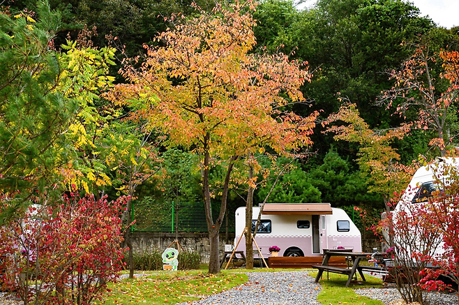 청량산 수원캠핑장. 수원시 제공
