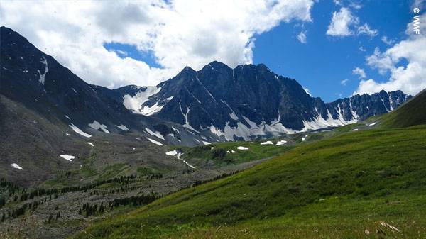 눈과 빙하가 녹아 있는 히말라야 산악 지대.[WWF 홈페이지 갈무리]