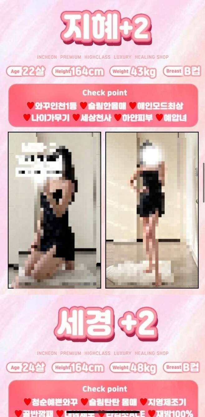 ▲ 성매매사이트 여성프로필. /사진제공=인천경찰청