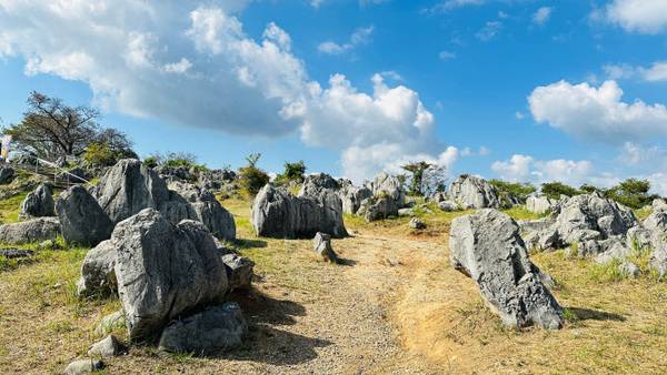 한일관계에도 훈풍이 불면서 한국과 일본을 오가는 양국 관광객이 늘어나고 있다. 이에 국내 여행업계 3사는 일본 소도시 상품들을 속속 개발했다. 사진은 카르스트 지형으로 유명한 '아키요시다이'. /노랑풍선