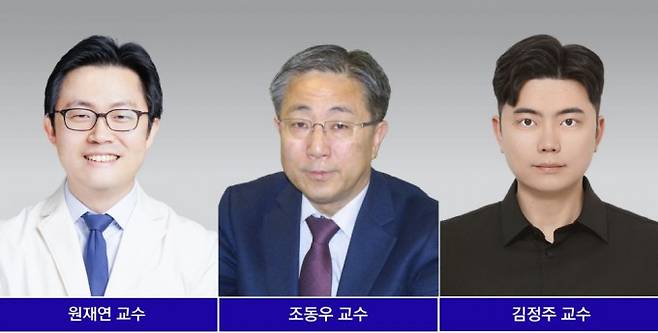 (왼쪽부터) 원재연 은평성모병원 교수, 조동우 포스텍 기계공학과 특임교수, 김정주 한국외대 교수(제1저자). 은평성모병원·포스텍 제공