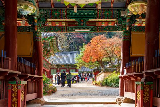 Baekyang Temple in Jangseong County, South Jeolla, is surrounded by fall foliage. [JOONGANG ILBO]