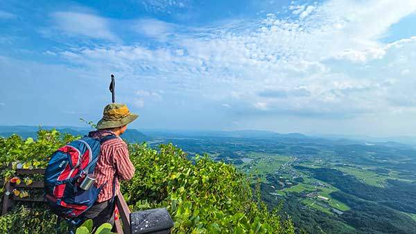 비봉산 정상에서 바라본 풍경.