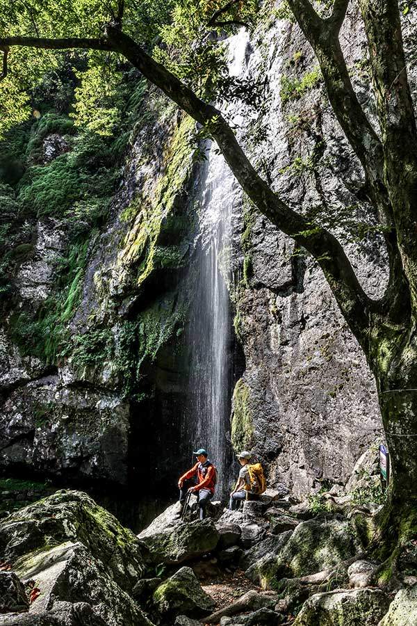 물, 바위, 나무가 어우러져 환상적인 경지에 이른 대혜폭포. 웅장하지는 않지만 예술 작품처럼 섬세하고 미묘한 매력이 있다.