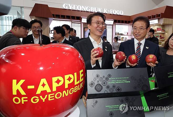 APEC 정상회의 경제 전시장 방문한 김민석 총리와 이철우 경북도지사 (경주=연합뉴스) 배재만 기자 = 김민석 국무총리와 이철우 경북도지사가 23일 경상북도 경주시 엑스포공원에 마련된 APEC 정상회의 경제 전시장을 방문, 경북산업관을 둘러보고 있다. 2025.10.23 scoop@yna.co.kr