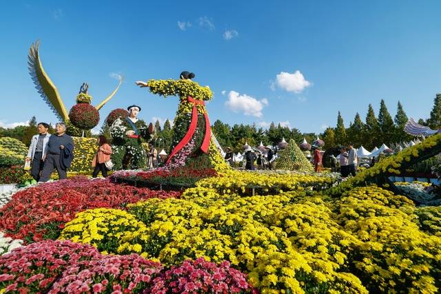 24일 제22회 익산 천만송이 국화축제장/사진 제공=익산시