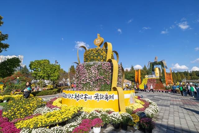 24일 제22회 익산 천만송이 국화축제장/사진 제공=익산시