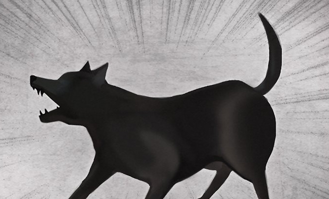 개 물림 사고 [연합뉴스]