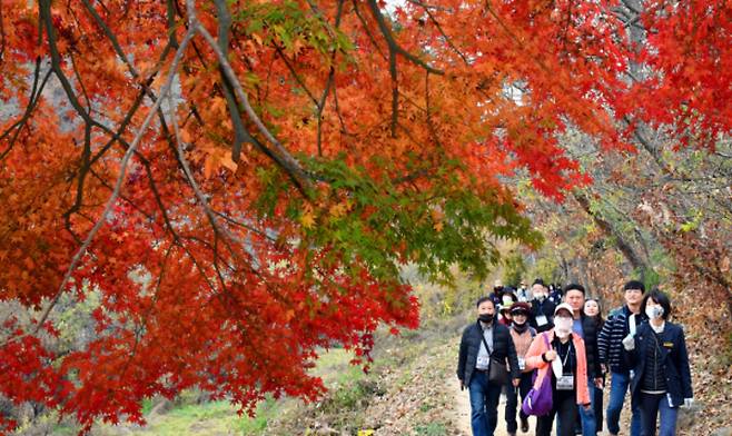 울산매일 포토뱅크