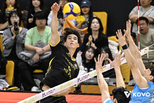 케이비(KB) 손해보험 임성진이 26일 의정부 경민대체육관에서 열린 2025∼2026 V리그 남자부 1라운드 대한항공과 경기에서 스파이크를 날리고 있다. 한국배구연맹 제공