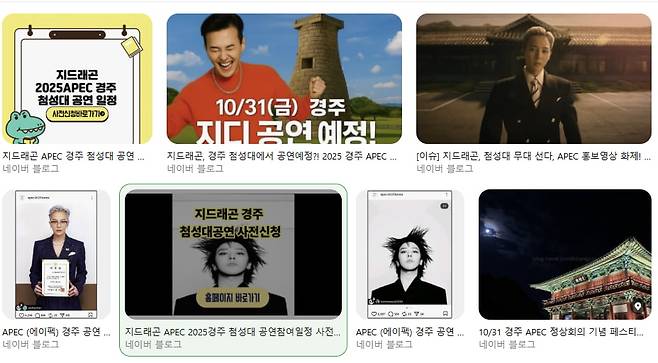 /사진=네이버 검색 화면