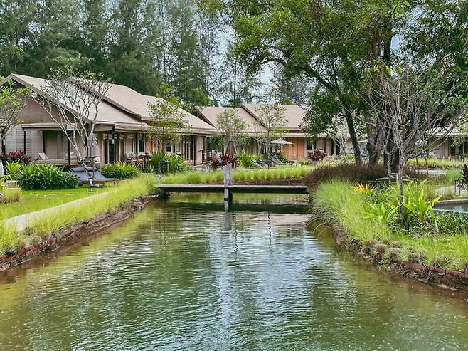 트윈팜스 텐티드 캠프 푸껫  / 사진=권효정 여행+ 기자